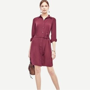 Ann Taylor Shirtdress